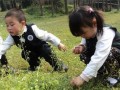 广州3公办幼儿园摇号入学 录取比率约10比1