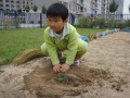 甘肃省农村幼儿园将增14.4万个园位