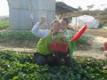 教育部将发力“补足配齐”幼儿园教师