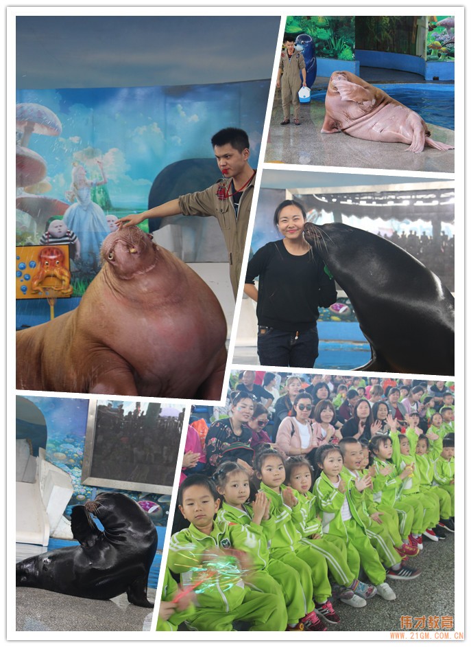 湖北仙桃和合伟才幼儿园:伟才生态主题课程之“遨游海洋世界•探索自然奥秘”