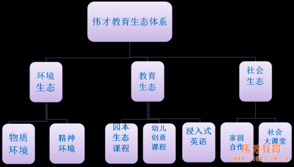 伟才教育生态体系