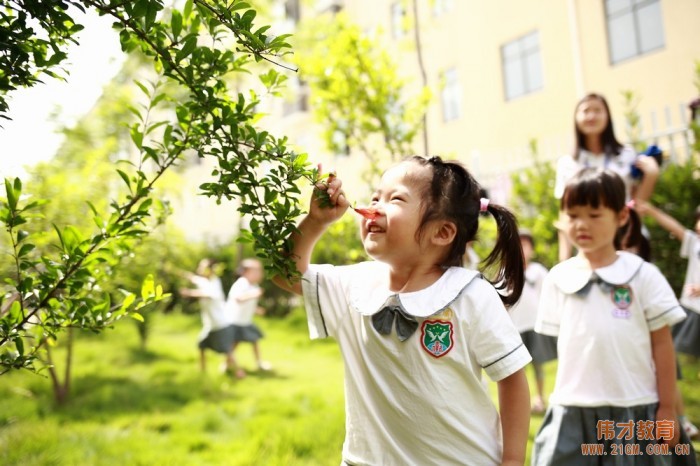 什么样的幼儿园加盟品牌最有投资价值