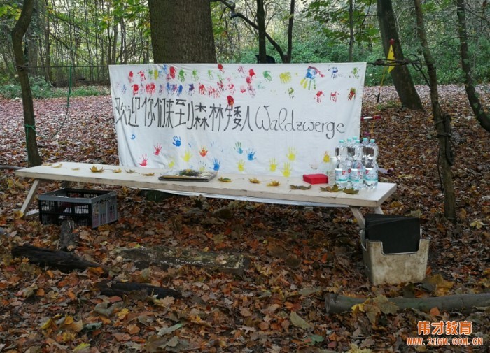 伟才设计分享2017年伟才幼教交流团德国站(二):带你走进大自然的幼儿教育