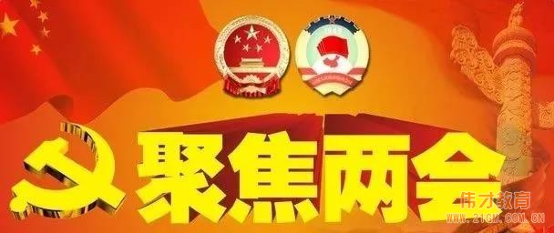 外行看热闹，内行看门道丨关于「两会」，伟才教育看什么？