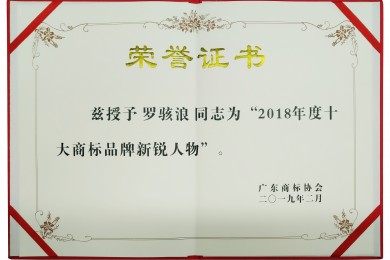 伟才教育董事长罗骇浪荣获“2018年度十大商标品牌新锐人物”