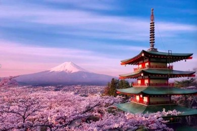 伟才环保主题日本亲子游学团，一起出发吧！