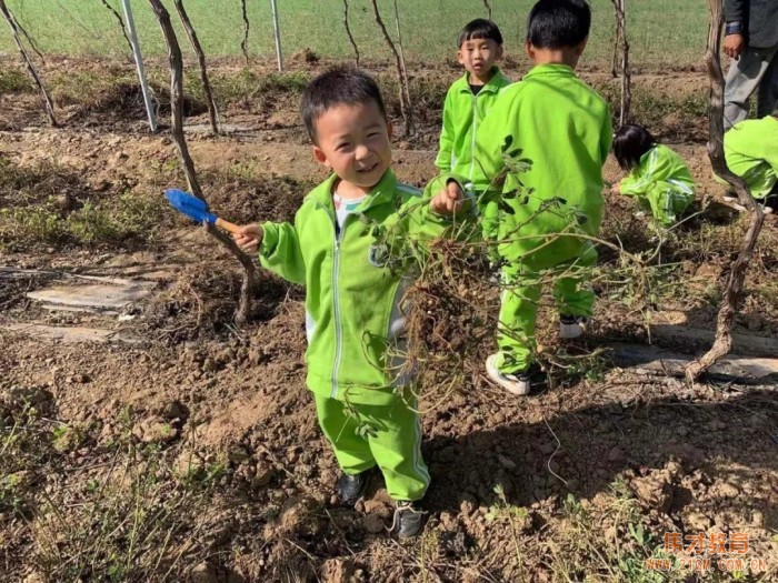 平顶山蓝湾翠园伟才幼儿园生态大课堂：耕道田园，探索秋天的奥秘