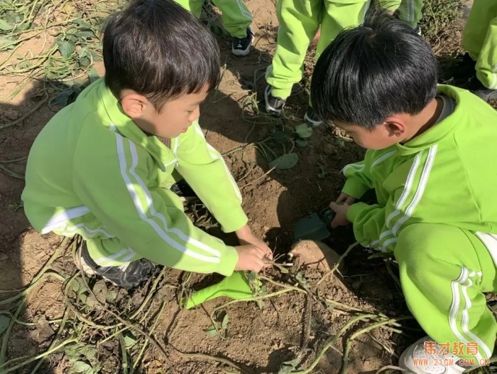 平顶山蓝湾翠园伟才幼儿园生态大课堂：耕道田园，探索秋天的奥秘