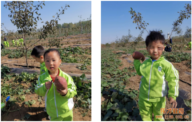 平顶山蓝湾翠园伟才幼儿园生态大课堂：耕道田园，探索秋天的奥秘