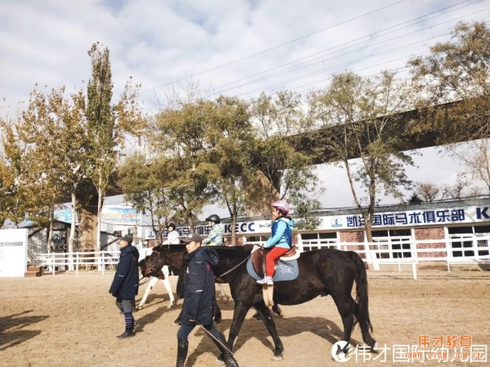 辽宁大连伟才幼儿园：马术课