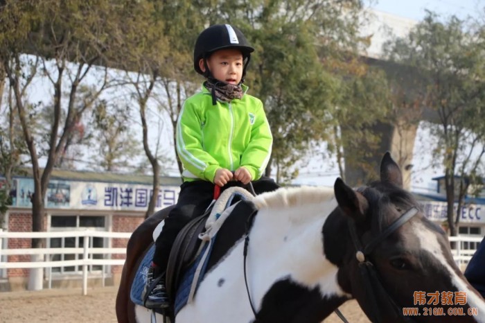 辽宁大连伟才幼儿园：马术课