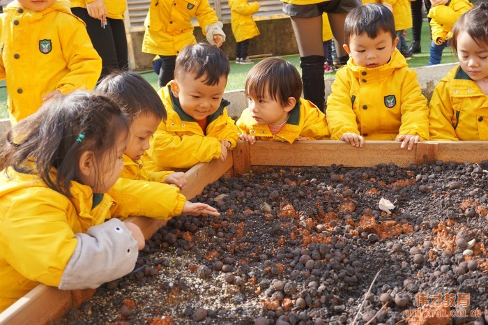 如何向新入园的家长反馈孩子一日活动信息？