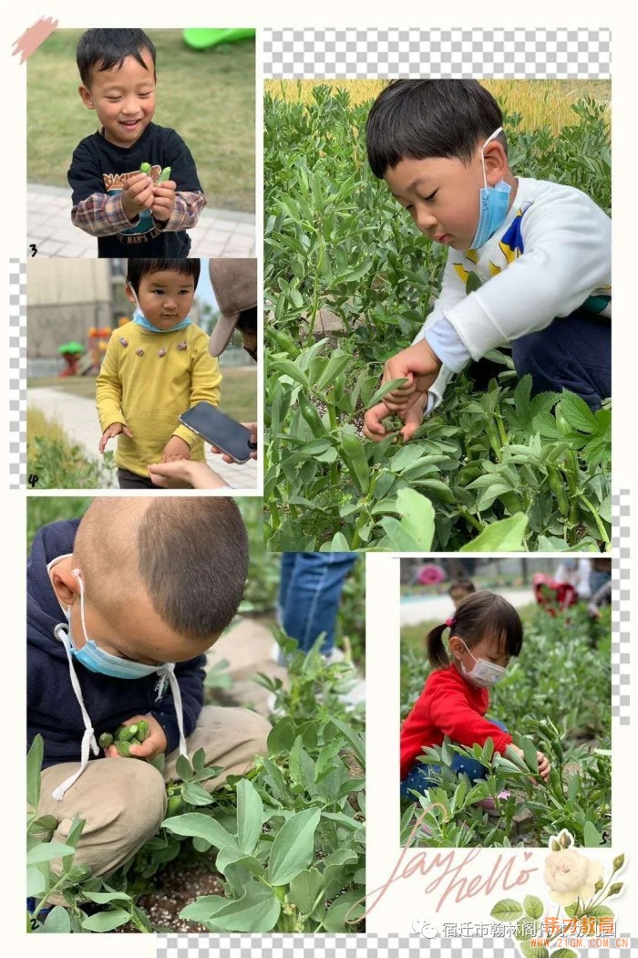 开园仅一年，江苏省宿迁市翰林阁伟才幼儿园实现满园！