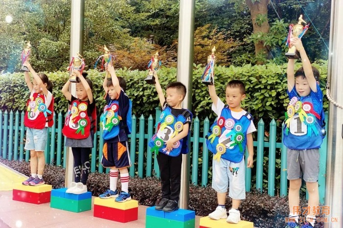 浙江杭州西溪伟才幼儿园:再见,森林小时光
