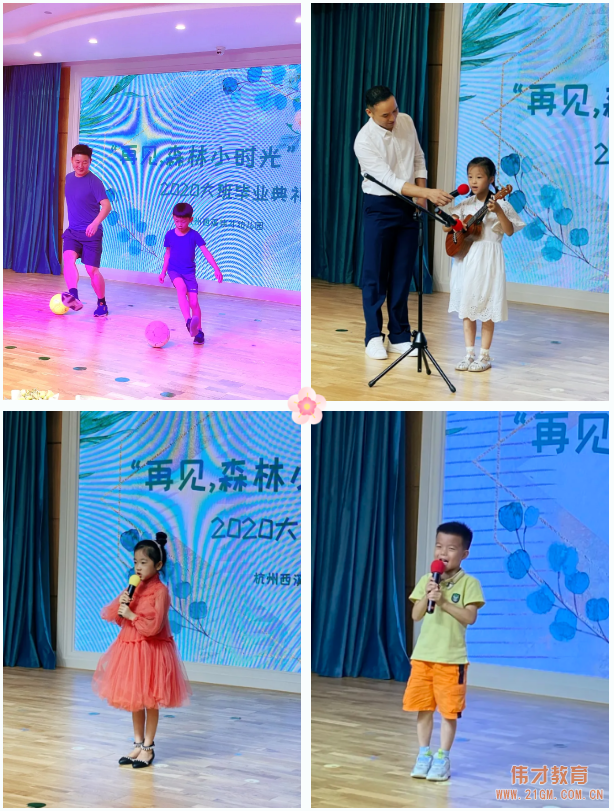 浙江杭州西溪伟才幼儿园:再见,森林小时光