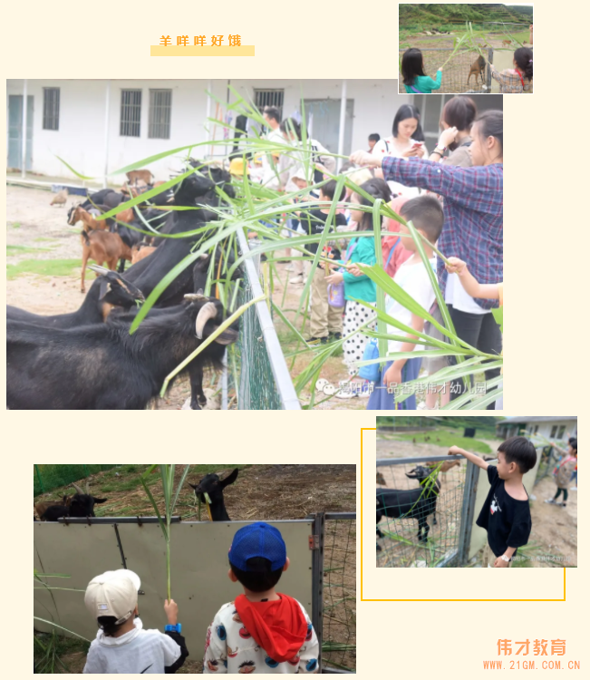 “玩”转盛夏,“暑”你精彩——广东揭阳伟才幼儿园游学记