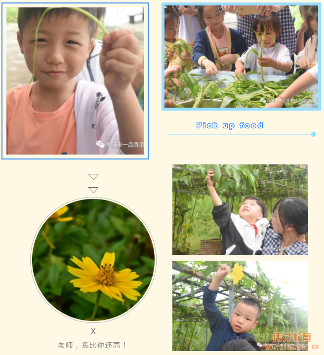 “玩”转盛夏,“暑”你精彩——广东揭阳伟才幼儿园游学记