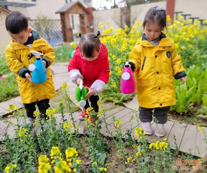 春风十里，正“植”有你——江苏苏州雀梅伟才幼儿园植树节活动