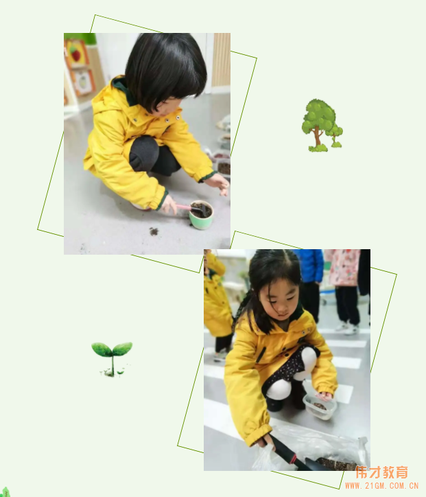 春风十里，正“植”有你——江苏苏州雀梅伟才幼儿园植树节活动