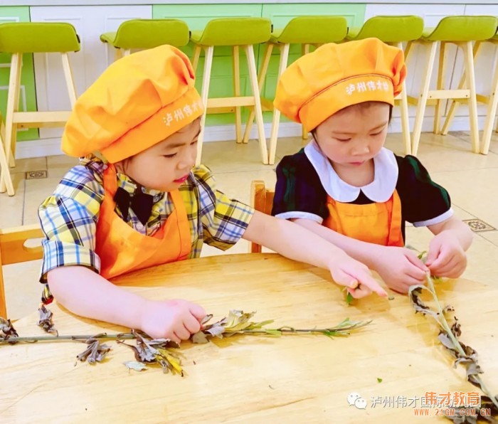 粽叶飘香迎端午，传统文化润童心——四川泸州伟才幼儿园