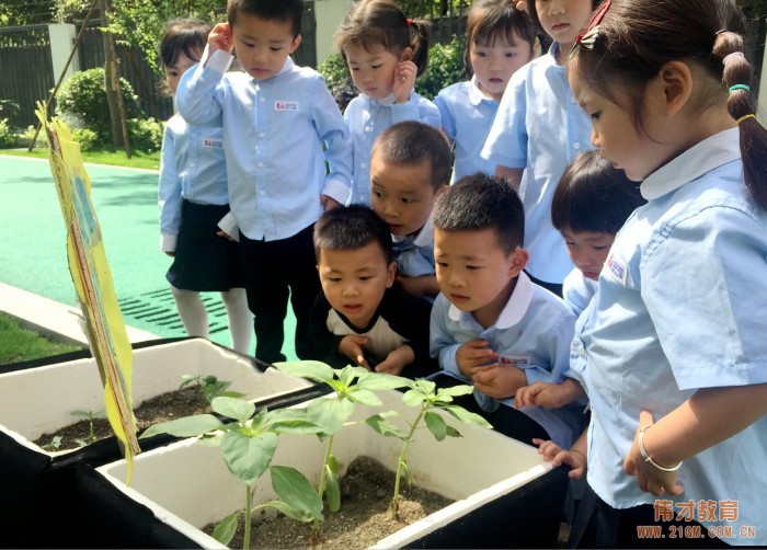 以爱做教育，用心伴成长——厚永幼儿园走进广西钦州灵山县！