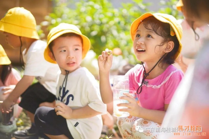 伟才课程丨从“芒果”开始的课程故事——广东佛山南海桂城伟才幼儿园