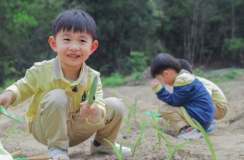 伟才教育-全方位提供高品质幼儿园一体化解决方案