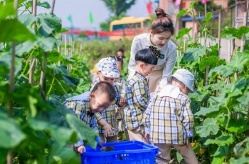 2022年，民办园抬头看天