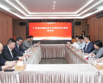 合肥市经开区领导一行走进伟才教育，推动项目合作发展