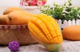 宝宝健脑吃哪些食物好